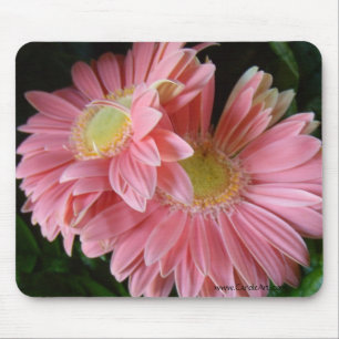 Peachy Pink Daisies Mousepad