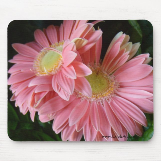 Peachy Pink Daisies Mousepad (Front)