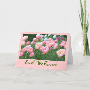 PEACHY-PINK, PINK, AND WHITE PEONIES CARD