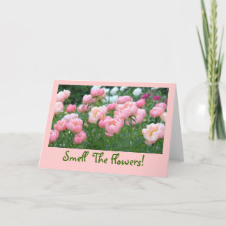 PEACHY-PINK, PINK, AND WHITE PEONIES CARD