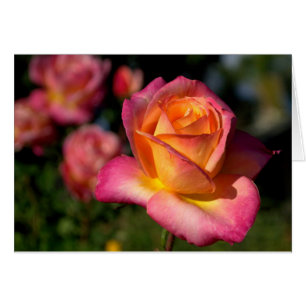 Peachy Pink Rose Blank Note Card