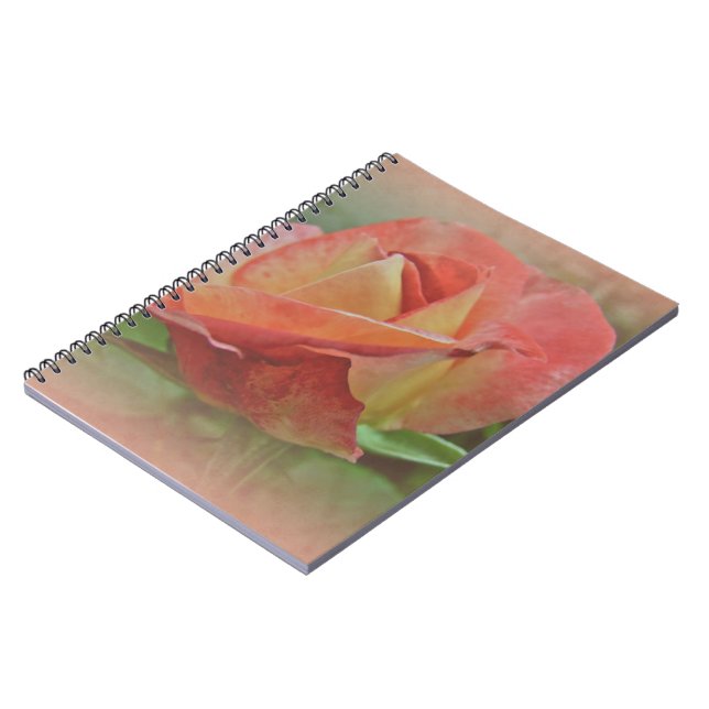Peachy Rose Blossom Notebook (Left Side)