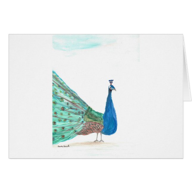Peacock (Front Horizontal)