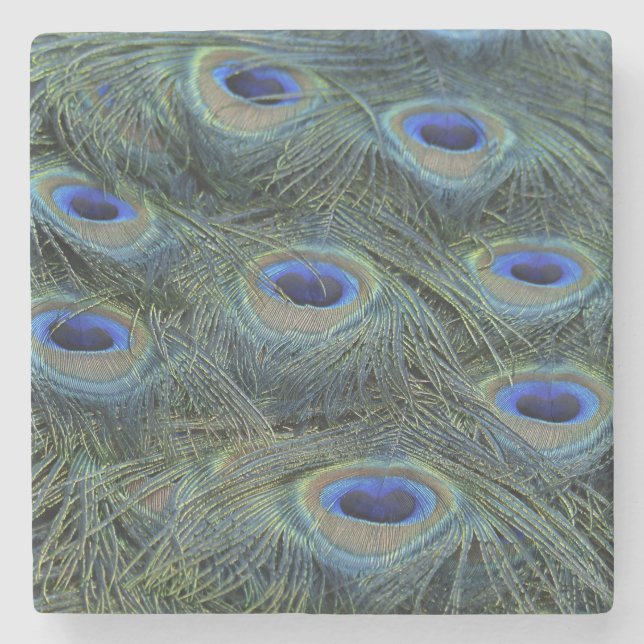 Peacock20160301 Stone Coaster (Front)