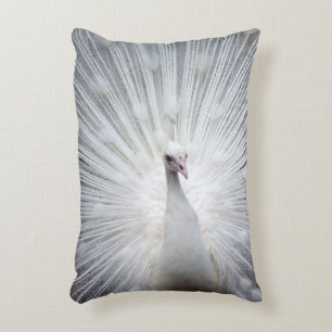 Peacock20160401 Decorative Cushion