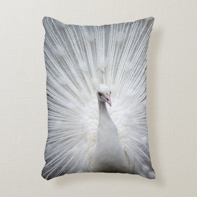 Peacock20160401 Decorative Cushion (Front(Vertical))