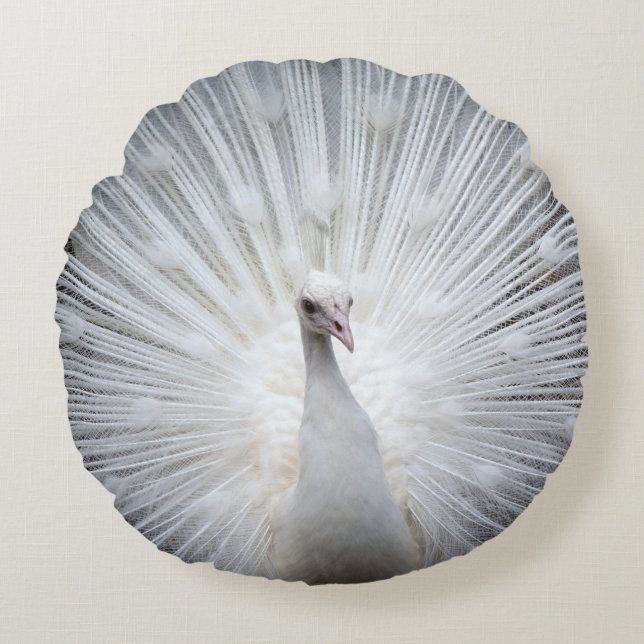 Peacock20160401 Round Cushion (Front)