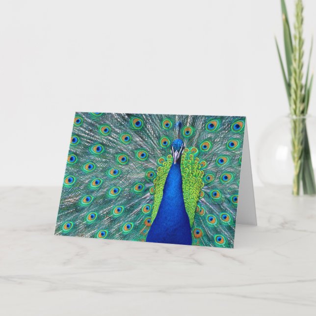 Peacock #2-Greeting card (Front)