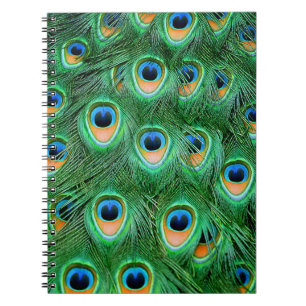 Peacock#2-Notebook Notebook