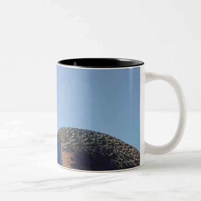 Peacock 2 Two-Tone coffee mug (Right)