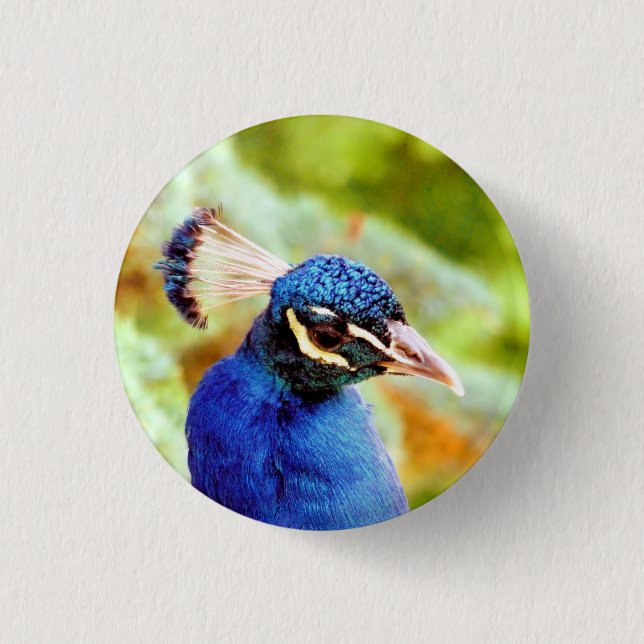 PEACOCK   3 CM ROUND BADGE (Front)