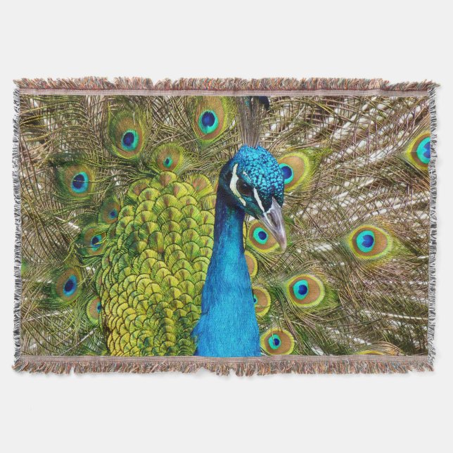 Peacock 3 Throw Blanket (Front)