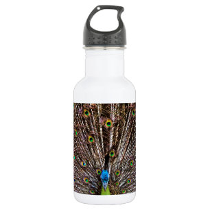 Peacock 532 Ml Water Bottle