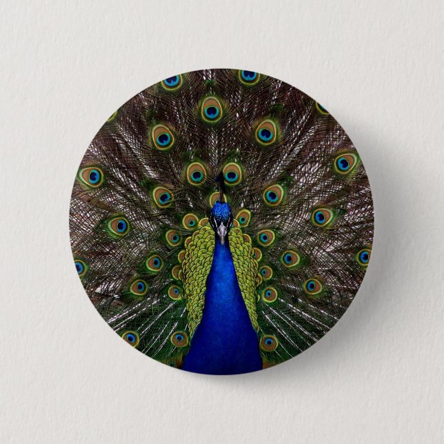 peacock 6 cm round badge (Front)
