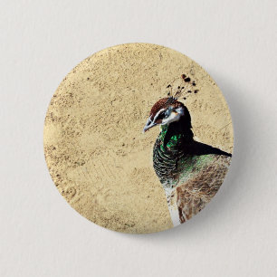 Peacock 6 Cm Round Badge