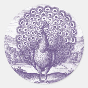 Peacock, a vintage engraving classic round sticker
