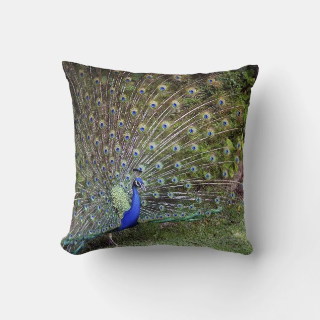 Peacock Accent Pillow (Front)
