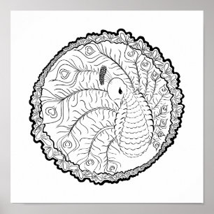 Peacock Adult Colouring Poster