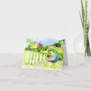 Peacock All Occasion Greeting Card