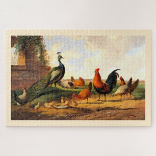 Peacock and chickens jigsaw puzzle