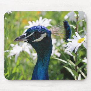 Peacock and Daisies Mouse Pad