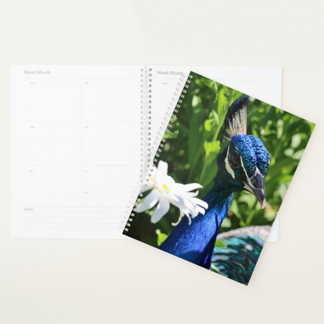 Peacock and Daisy Planner (Display)