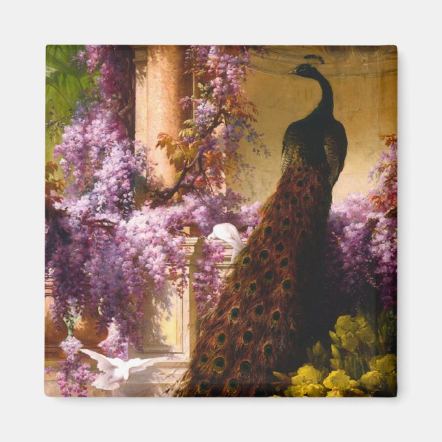 Peacock and Doves in a Garden Magnet (Front)