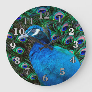 Peacock and Feather Large Clock