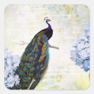 Peacock and hydrangea square sticker