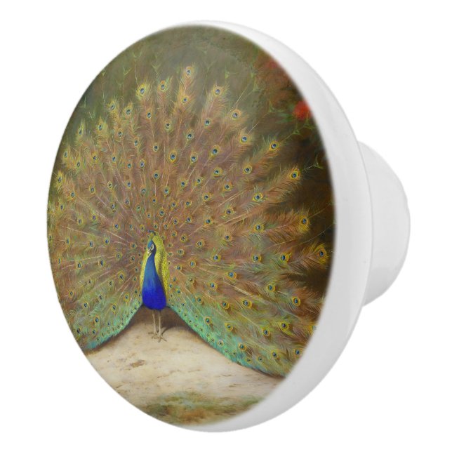Peacock and Peacock Butterfly, Art Illustration Ceramic Knob (Right)