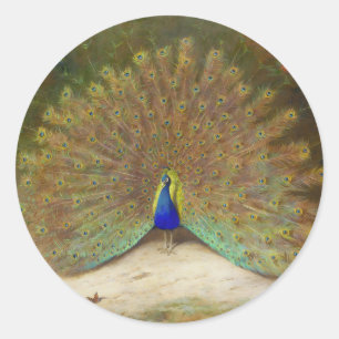 Peacock and Peacock Butterfly, Art Illustration Classic Round Sticker