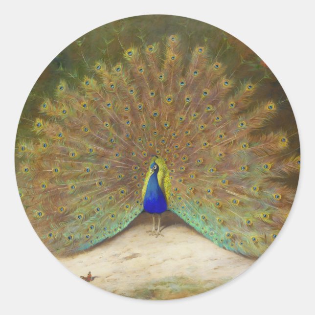 Peacock and Peacock Butterfly, Art Illustration Classic Round Sticker (Front)