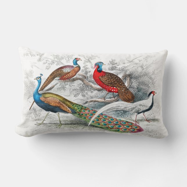 Peacock and Pheasants - Oliver Goldsmith -  Lumbar Cushion (Front)