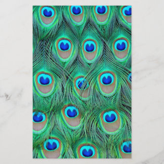 peacock animal print - feathers