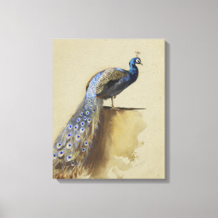 Peacock Archibald Thorburn Canvas Print