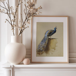 Peacock   Archibald Thorburn Poster