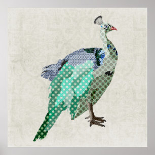 Peacock  Art Canvas Poster