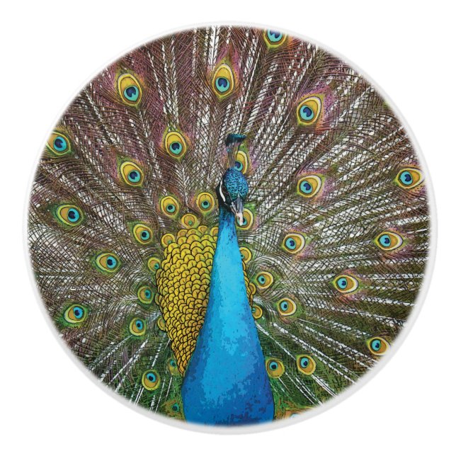 Peacock Art in Jewel Tone Colours Ceramic Knob (Front)