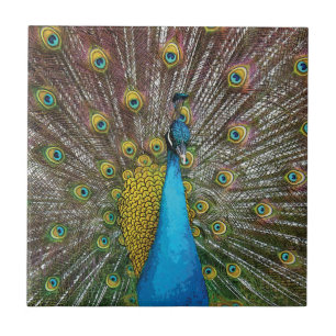 Peacock Art in Jewel Tone Colours Ceramic Tile
