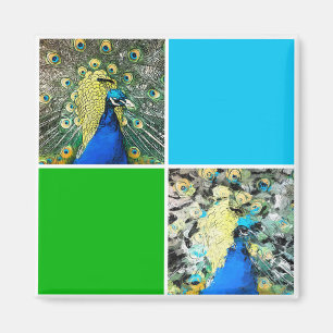 Peacock Art Magnet