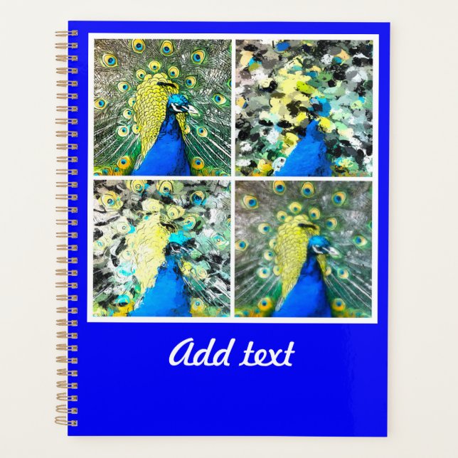 Peacock Art Planner (Front)