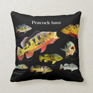 Peacock bass , Eye-Spot Cichlid Cushion
