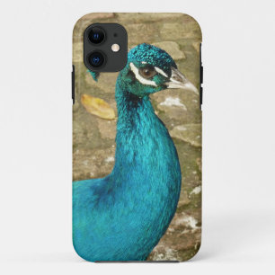 Peacock Beautiful Nature Photography iPhone 11 Case
