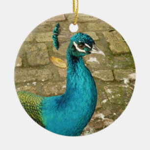 Peacock Beautiful Nature Photography Ceramic Ornament
