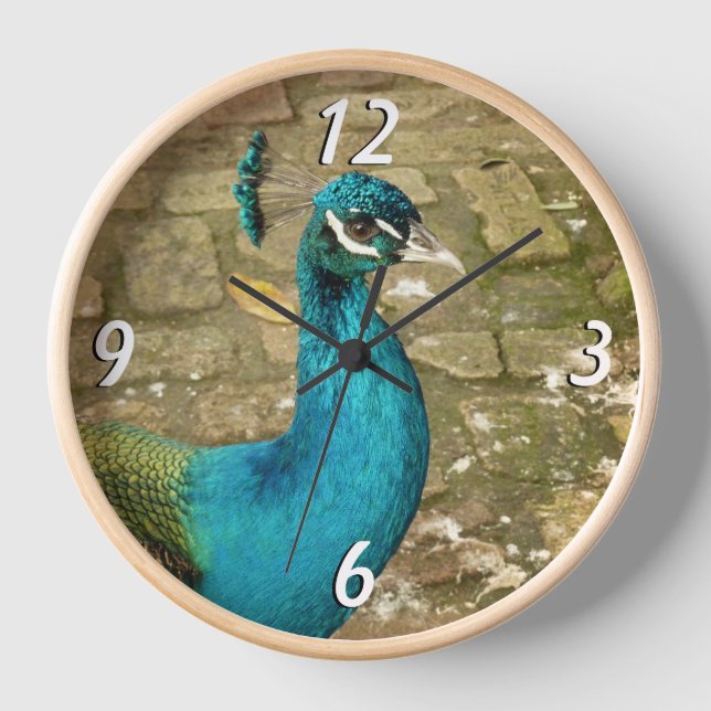 Peacock Beautiful Nature Photography Clock (Front)