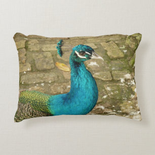 Peacock Beautiful Nature Photography Decorative Cushion