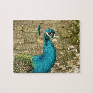 Peacock Beautiful Nature Photography Jigsaw Puzzle