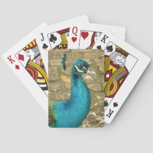 Peacock Beautiful Nature Photography Playing Cards