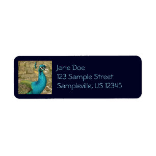 Peacock Beautiful Nature Photography Return Address Label