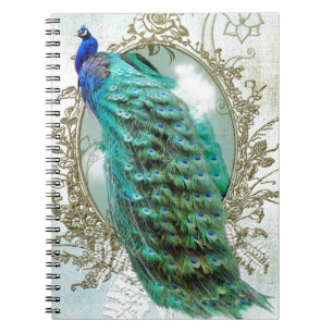 peacock beautiful turquoise vintage shabby bird notebook